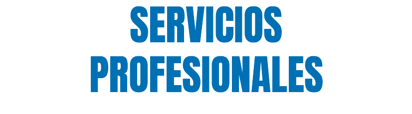 SERVICIOS PROFESIONALES